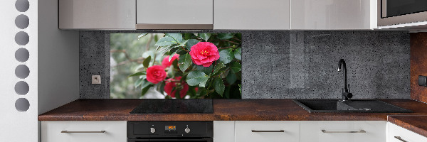 Cooker splashback Camellia