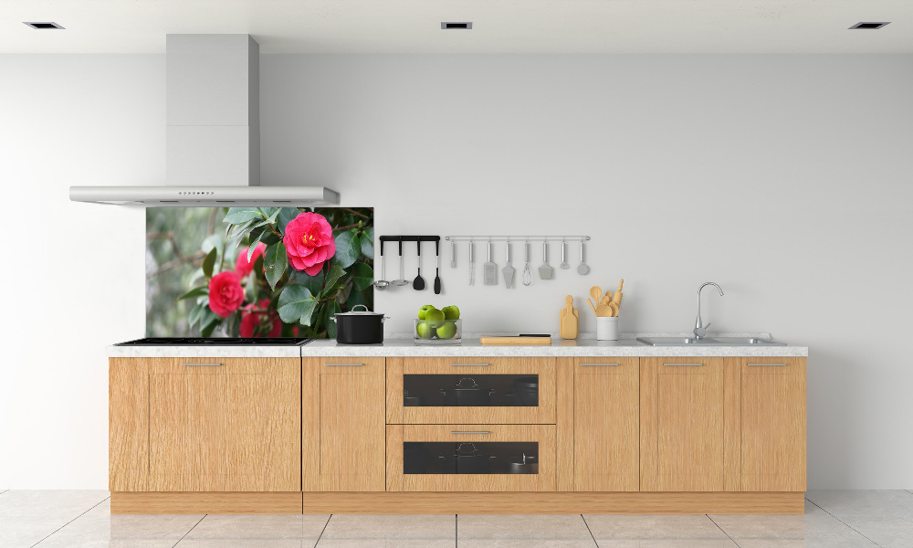 Cooker splashback Camellia