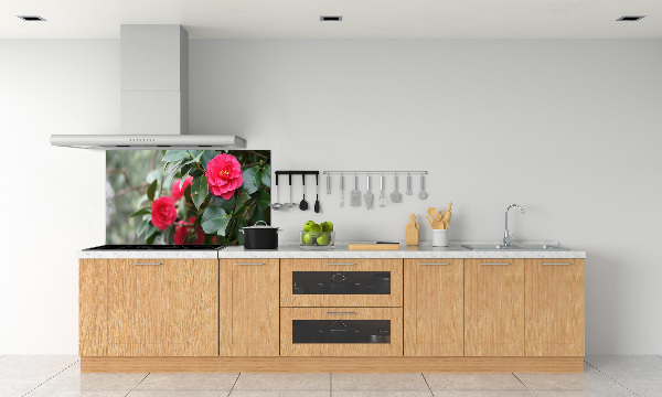 Cooker splashback Camellia