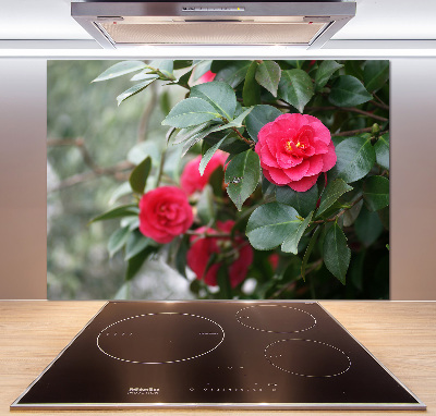 Cooker splashback Camellia