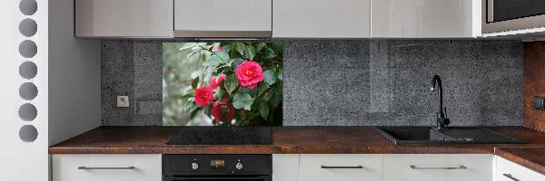 Cooker splashback Camellia