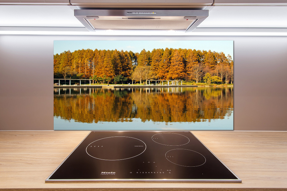 Cooker splashback Forest by the lake