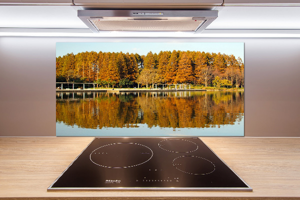 Cooker splashback Forest by the lake