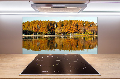 Cooker splashback Forest by the lake