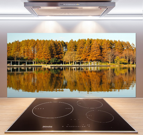 Cooker splashback Forest by the lake