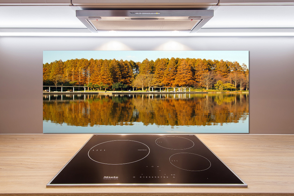 Cooker splashback Forest by the lake