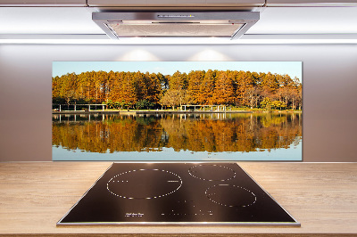 Cooker splashback Forest by the lake