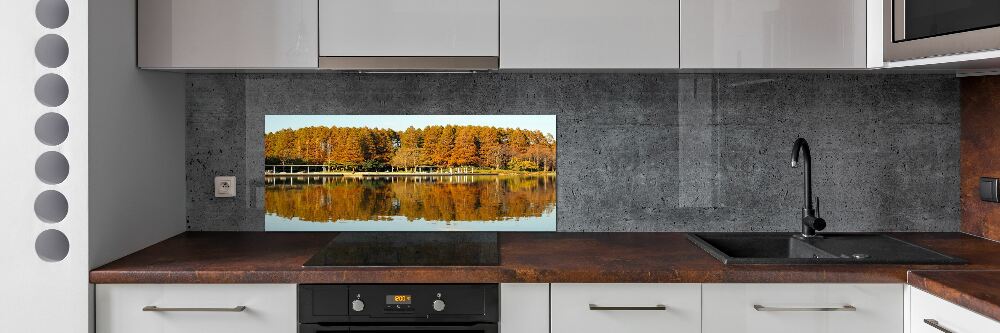 Cooker splashback Forest by the lake