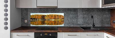 Cooker splashback Forest by the lake