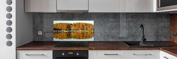 Cooker splashback Forest by the lake