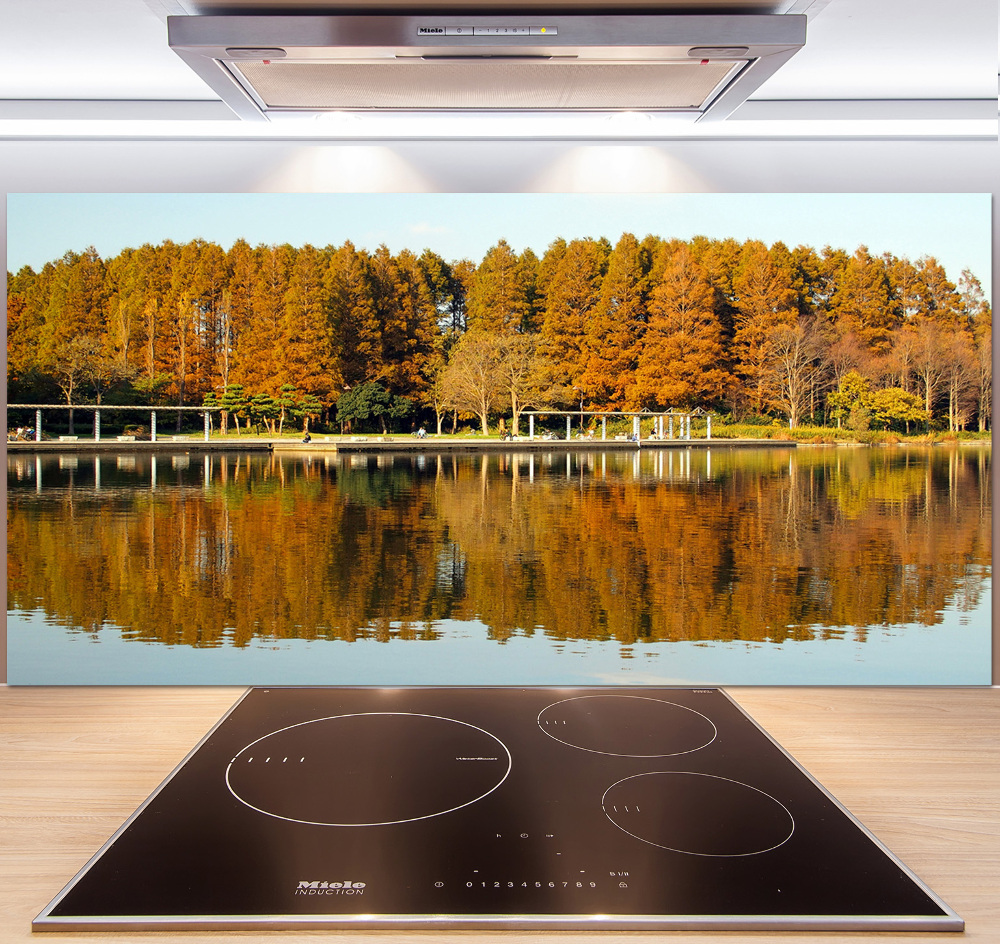 Cooker splashback Forest by the lake