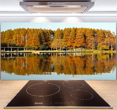 Cooker splashback Forest by the lake