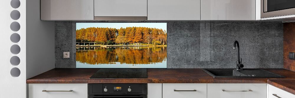 Cooker splashback Forest by the lake