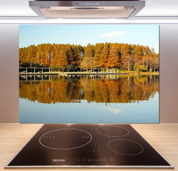 Cooker splashback Forest by the lake