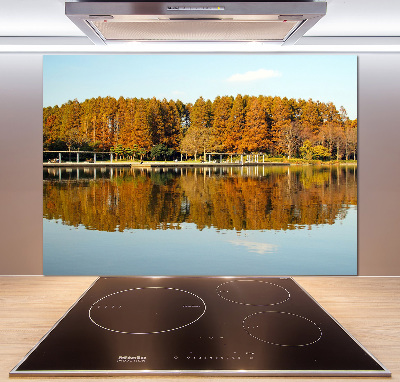 Cooker splashback Forest by the lake