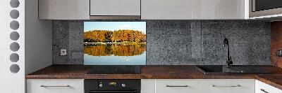 Cooker splashback Forest by the lake