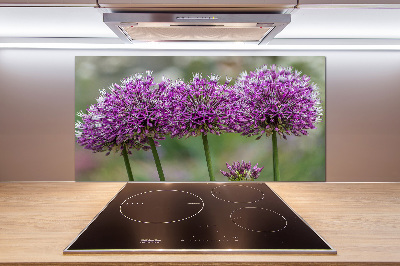 Cooker splashback Garlic flower