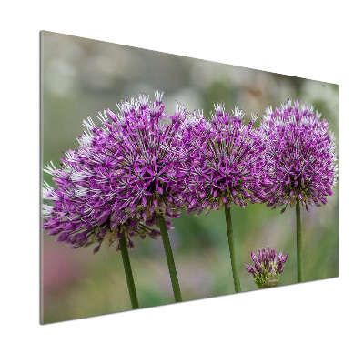 Cooker splashback Garlic flower