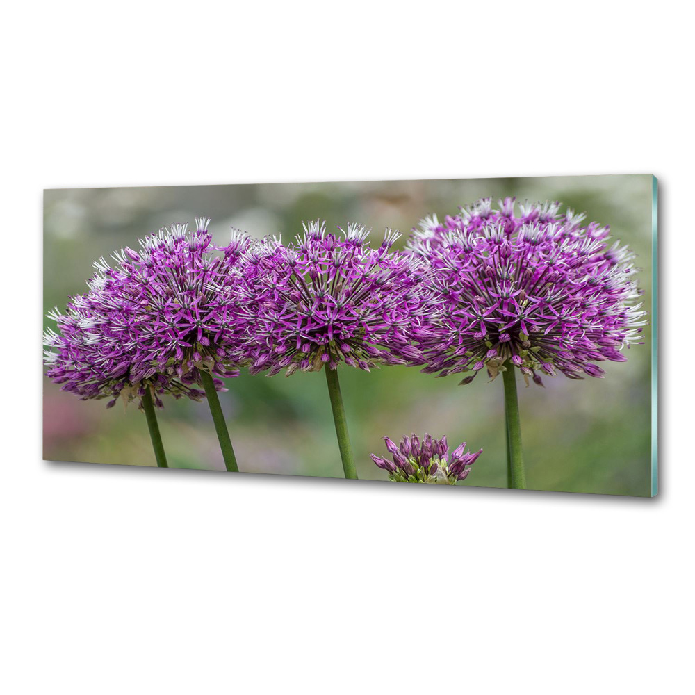 Cooker splashback Garlic flower