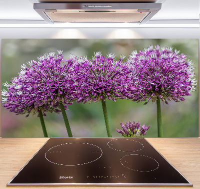 Cooker splashback Garlic flower