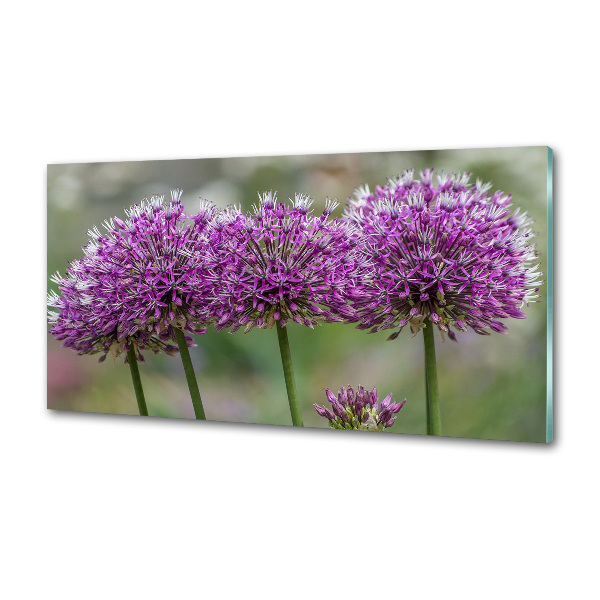 Cooker splashback Garlic flower