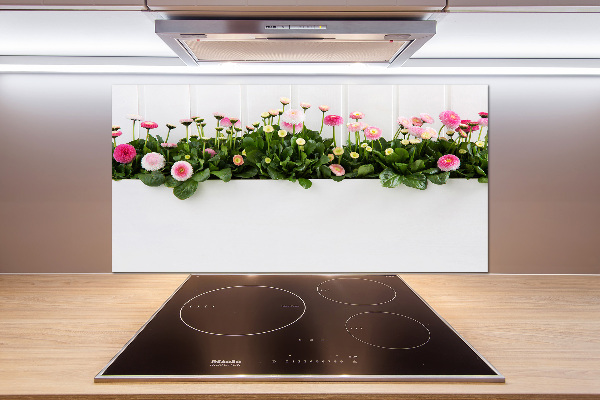 Cooker splashback Pink daisies