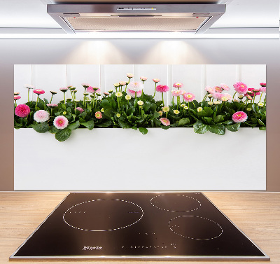 Cooker splashback Pink daisies