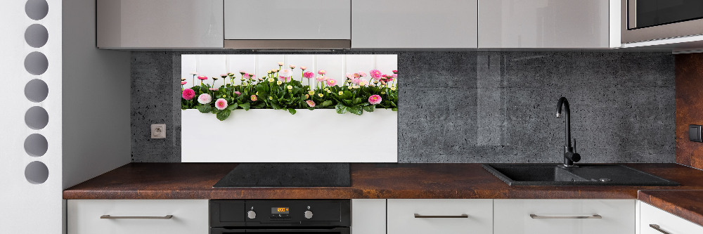 Cooker splashback Pink daisies