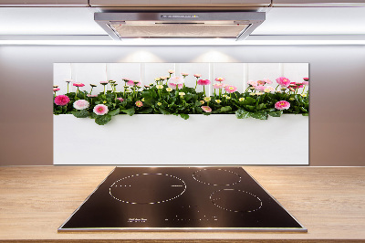 Cooker splashback Pink daisies