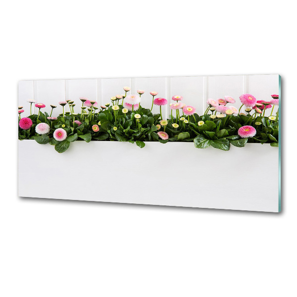 Cooker splashback Pink daisies