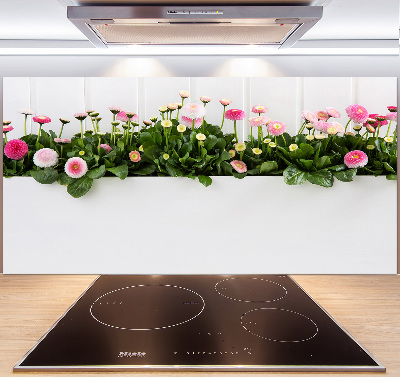 Cooker splashback Pink daisies