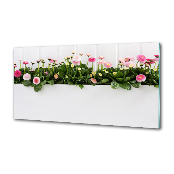 Cooker splashback Pink daisies