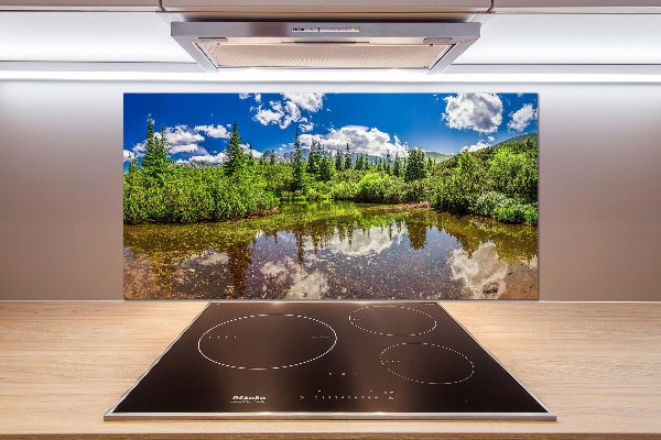 Cooker splashback Lake in the forest