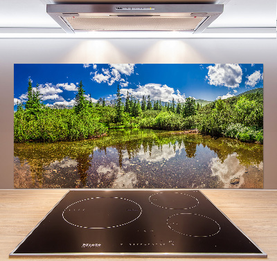 Cooker splashback Lake in the forest