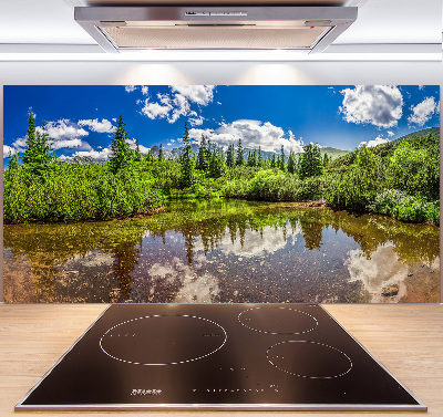 Cooker splashback Lake in the forest