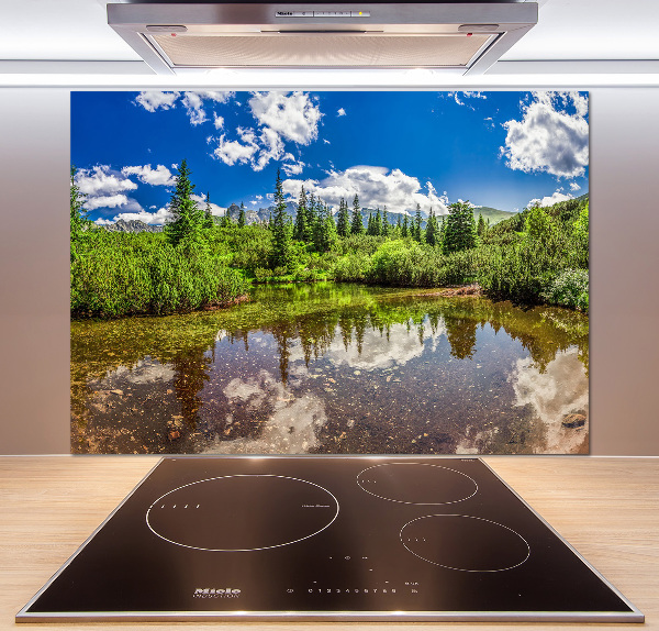 Cooker splashback Lake in the forest