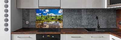 Cooker splashback Lake in the forest