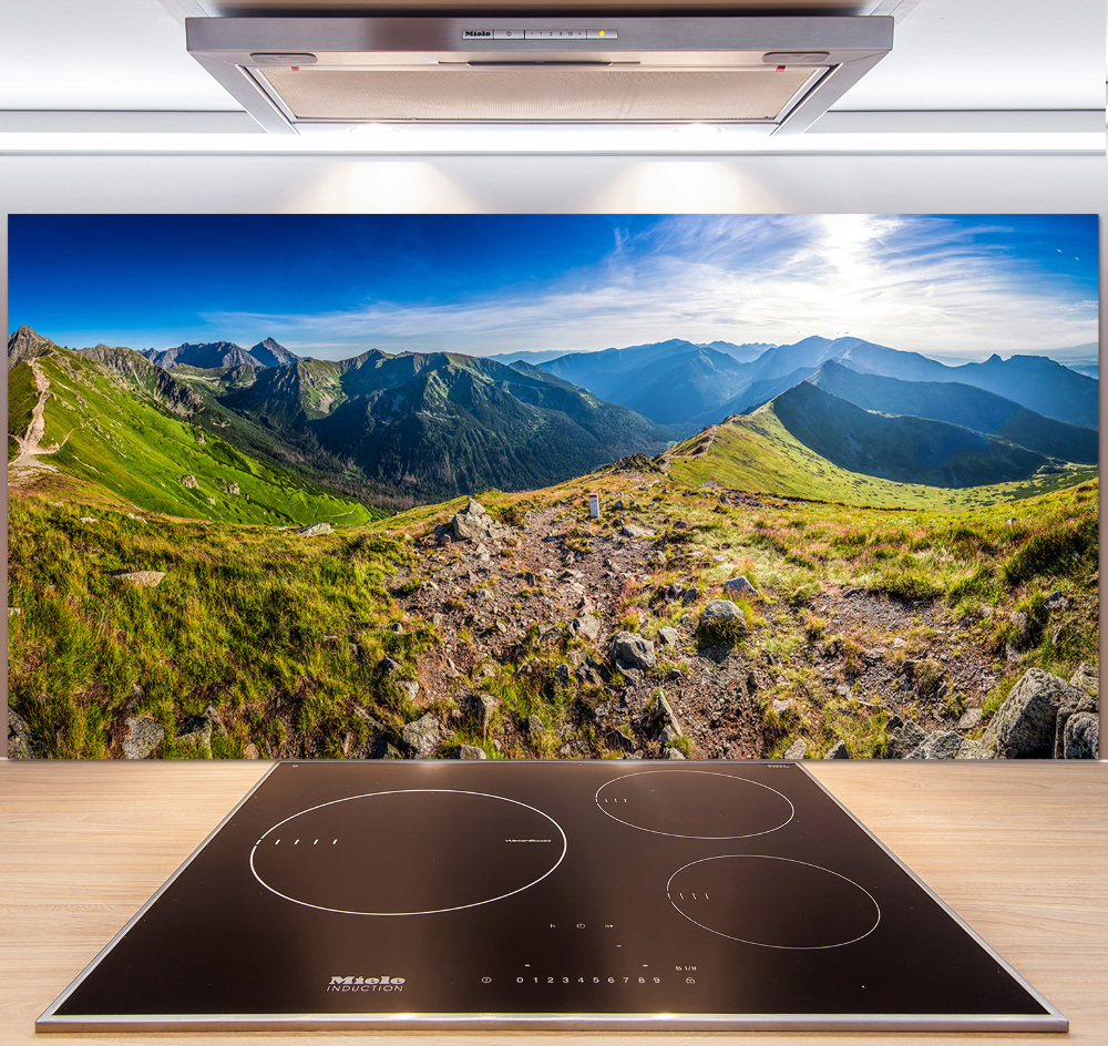 Cooker splashback Mountain panorama