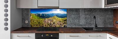 Cooker splashback Mountain panorama