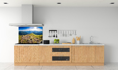 Cooker splashback Mountain panorama