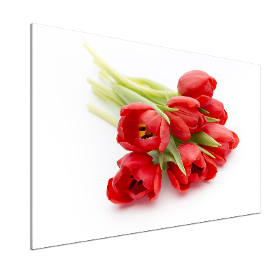 Cooker splashback Red tulips