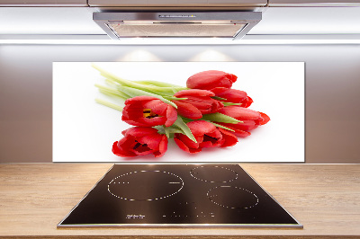 Cooker splashback Red tulips