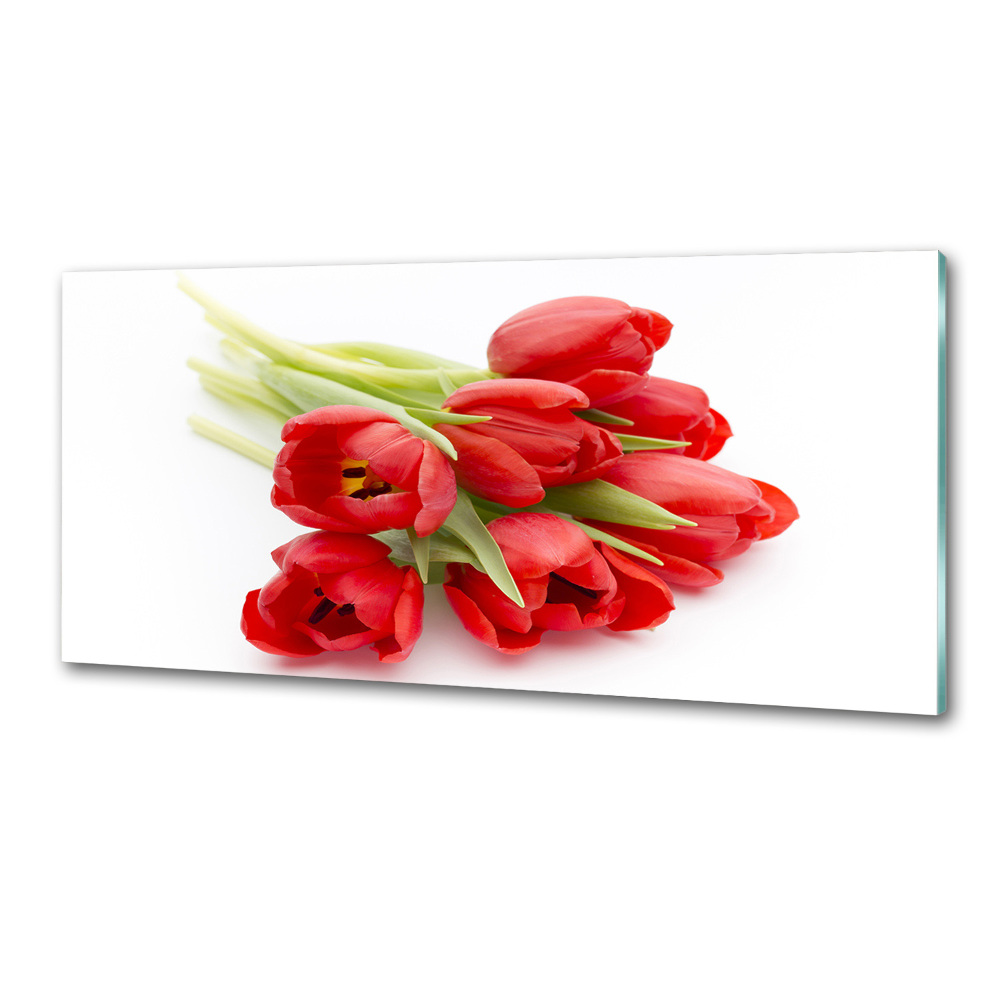 Cooker splashback Red tulips