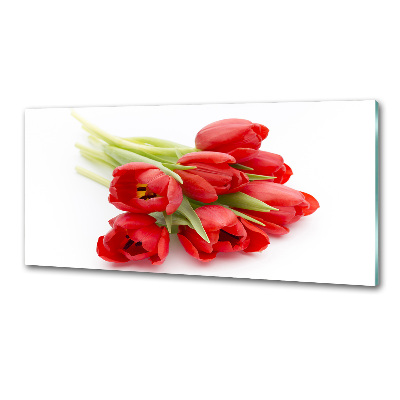 Cooker splashback Red tulips