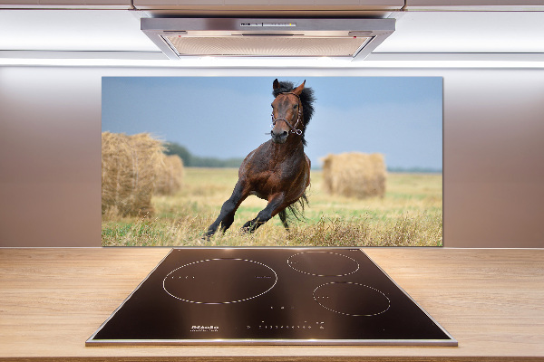 Cooker splashback Horse at a gallop