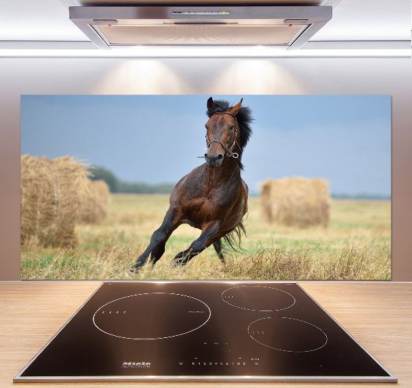 Cooker splashback Horse at a gallop