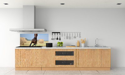 Cooker splashback Horse at a gallop