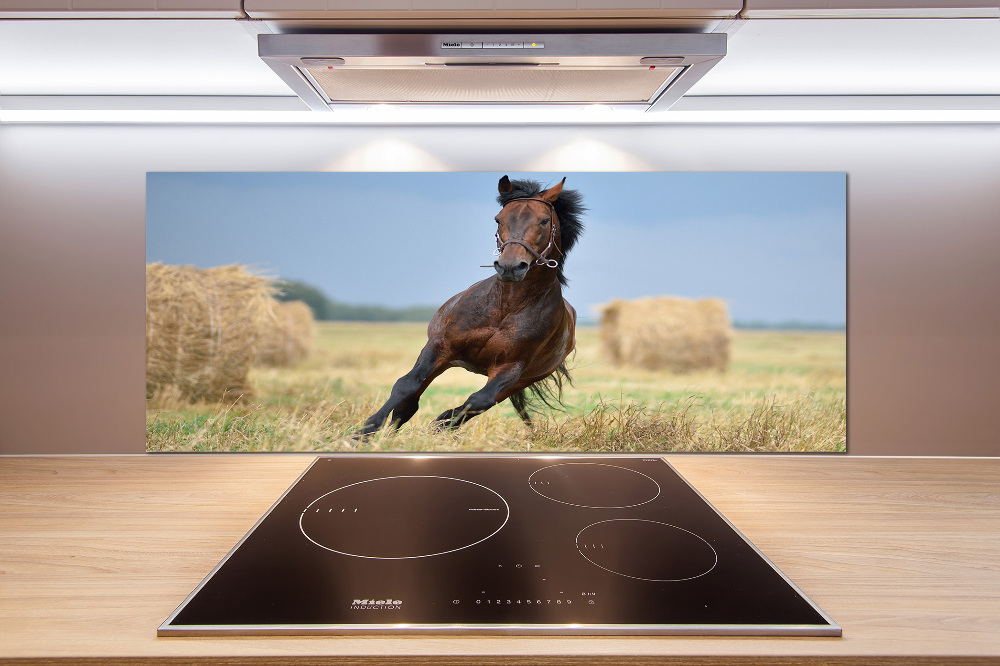 Cooker splashback Horse at a gallop