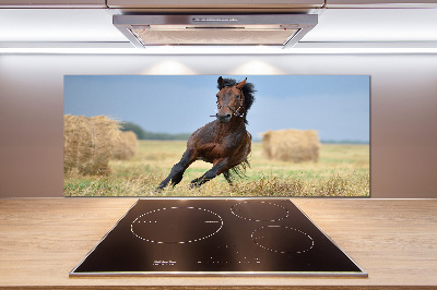 Cooker splashback Horse at a gallop