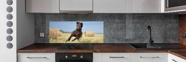 Cooker splashback Horse at a gallop